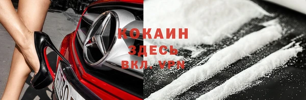 шишки Нягань