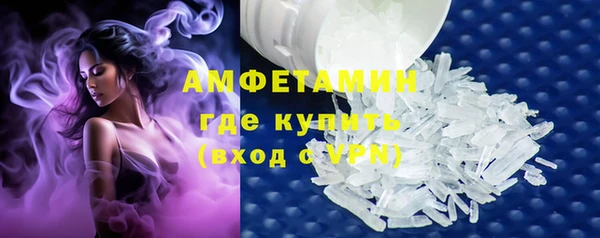 молекула духа Новозыбков