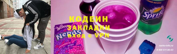 молекула духа Новозыбков