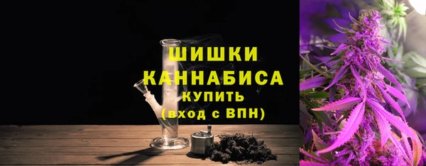 молекула духа Новозыбков