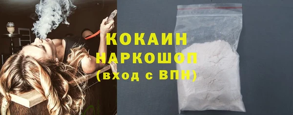 молекула духа Новозыбков