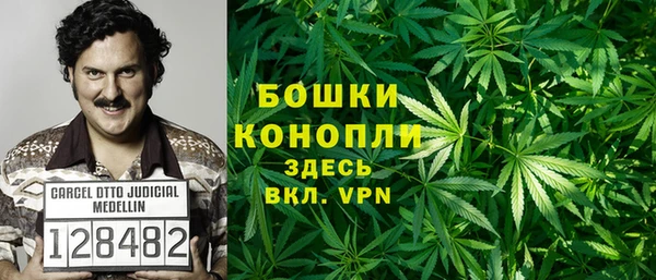 шишки Нягань