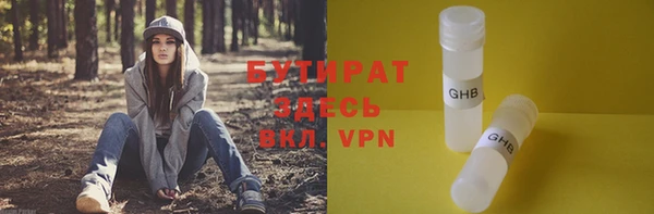молекула духа Новозыбков