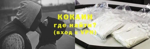 молекула духа Новозыбков