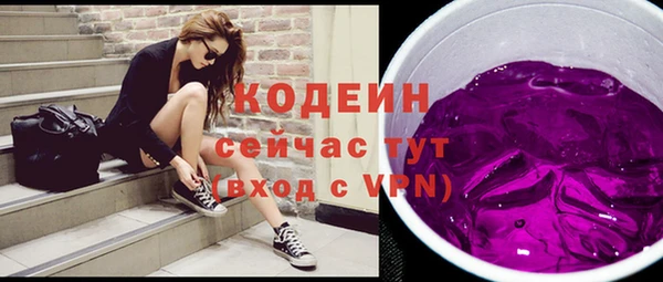 молекула духа Новозыбков