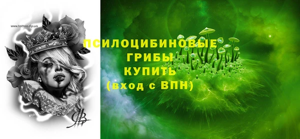 стаф Новодвинск